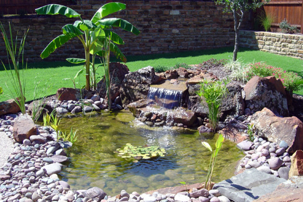 Cette photo montre un grand jardin arrière exotique avec un point d'eau, une exposition ombragée et des pavés en pierre naturelle.