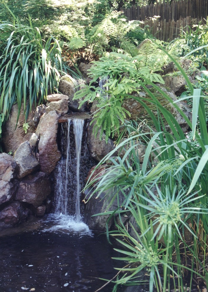 Inspiration for a mid-sized asian shade backyard water fountain landscape in San Francisco for spring.