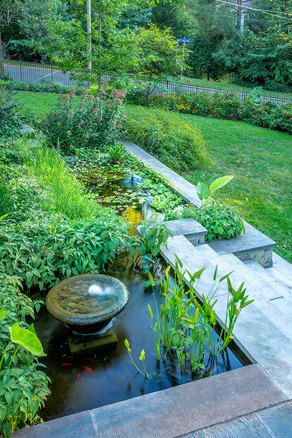 Water-Harvesting Fish Ponds - Contemporary - Garden - DC Metro - by Tom ...