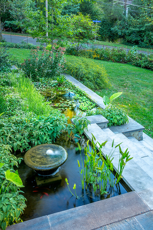 Schattiger Moderner Garten hinter dem Haus mit Wasserspiel in Washington, D.C.