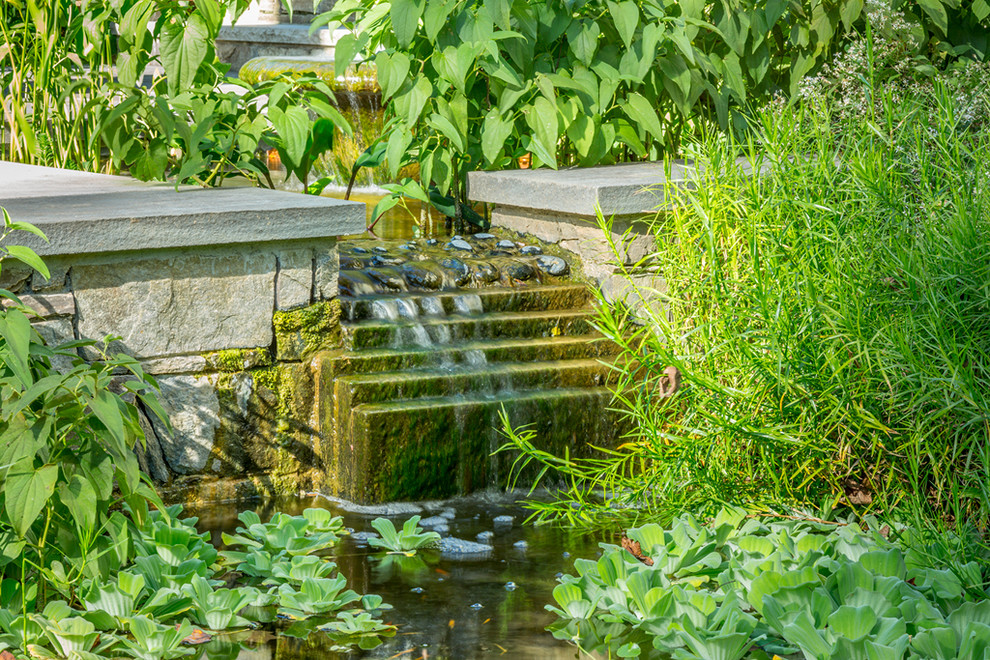 На фото: тенистый садовый фонтан на заднем дворе в современном стиле с