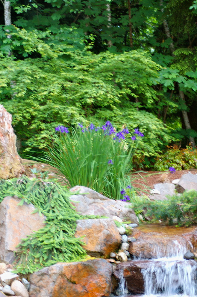 Источник вдохновения для домашнего уюта: садовый фонтан на заднем дворе в стиле рустика с полуденной тенью