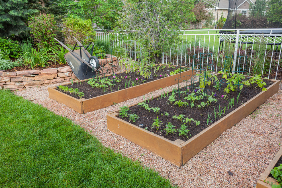 Cette image montre un jardin potager arrière traditionnel de taille moyenne et au printemps avec une exposition ensoleillée et du gravier.