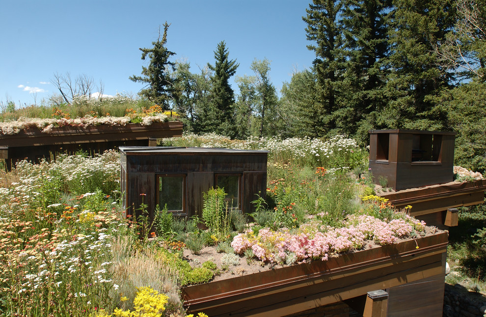 Exemple d'un jardin sur toit montagne avec une exposition ensoleillée.
