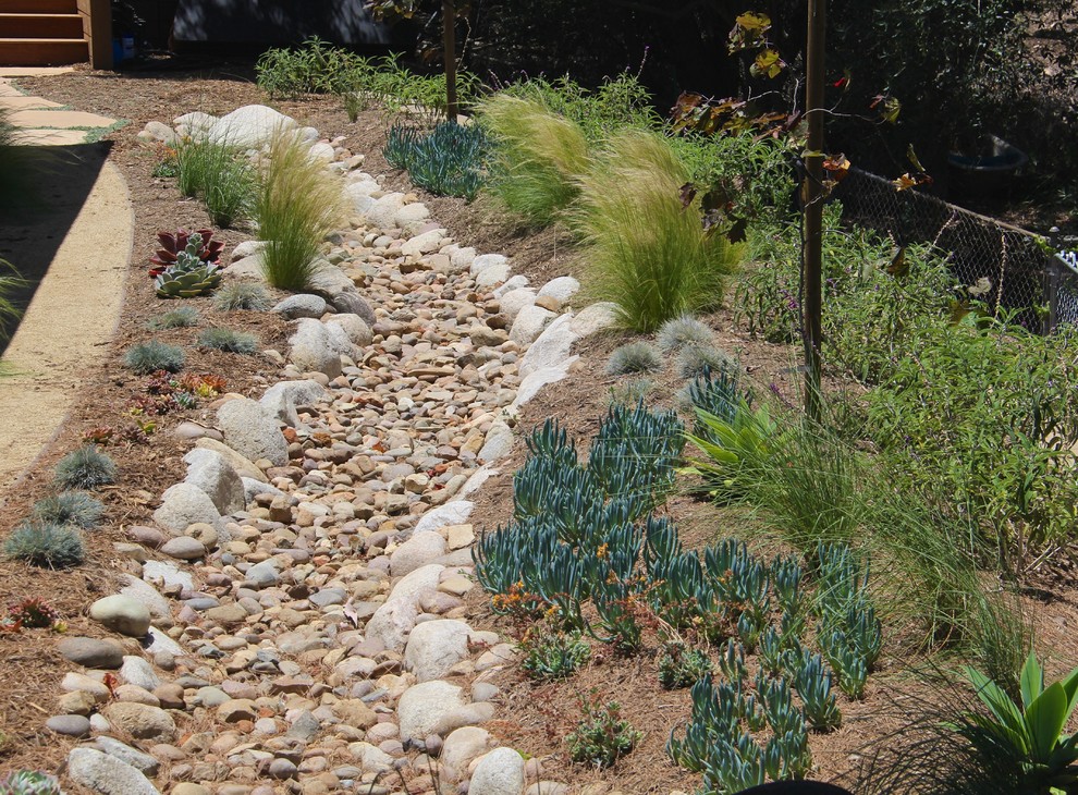 Inspiration for a medium sized contemporary back xeriscape full sun garden for spring in San Diego with a garden path and mulch.