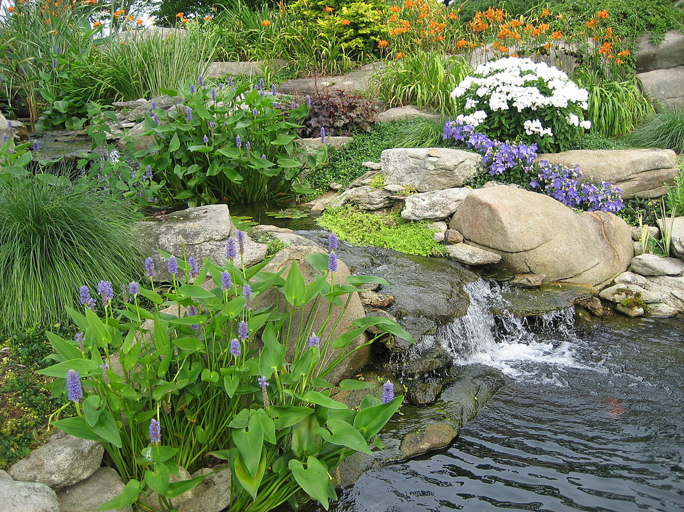 Modelo de jardín tradicional grande en patio trasero con exposición total al sol y adoquines de piedra natural