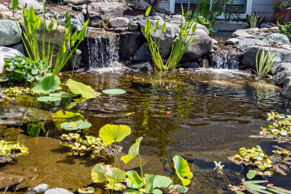 Großer Asiatischer Garten im Sommer mit direkter Sonneneinstrahlung und Natursteinplatten in Seattle