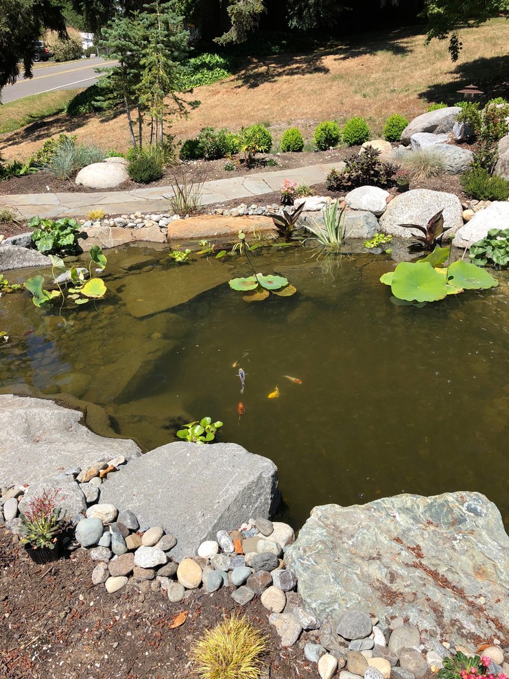 Esempio di un grande laghetto da giardino etnico esposto in pieno sole davanti casa in estate con pavimentazioni in pietra naturale