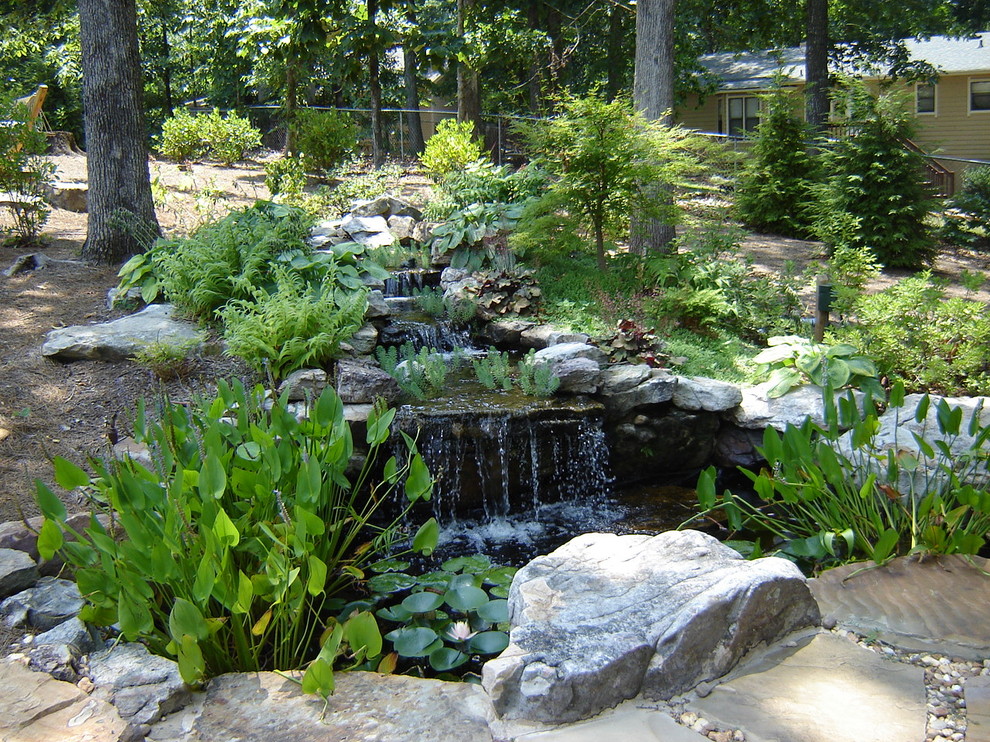 Cette image montre un jardin arrière traditionnel l'été avec un point d'eau et une exposition partiellement ombragée.