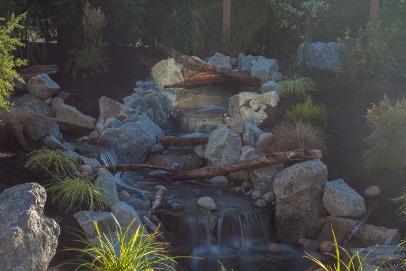 Geometrischer, Mittelgroßer Rustikaler Garten hinter dem Haus, im Frühling mit Wasserspiel, direkter Sonneneinstrahlung und Natursteinplatten in Seattle