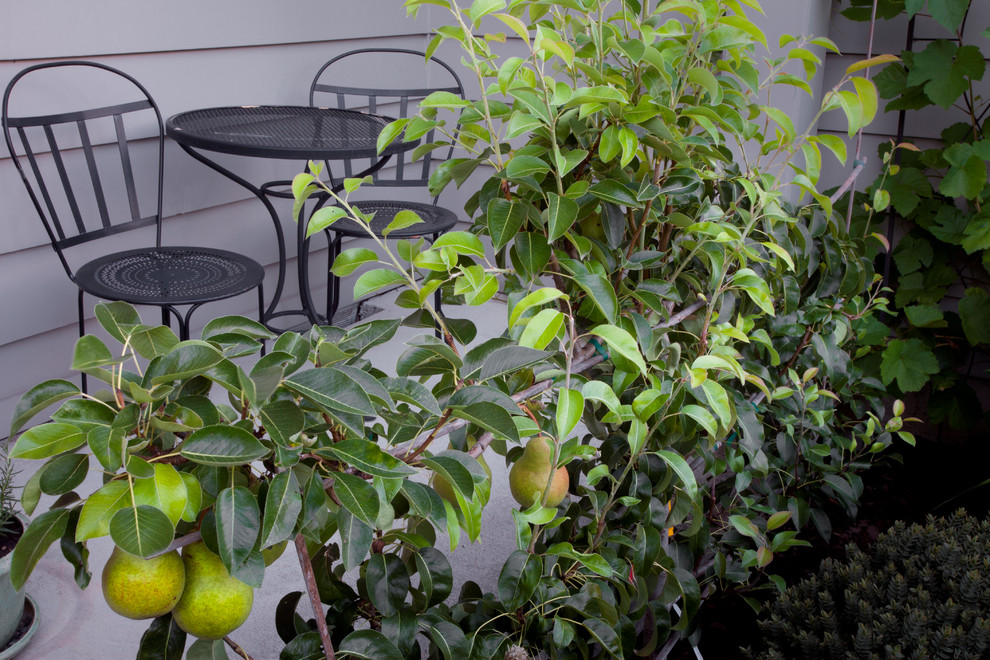 Waterfalls and Boulder Retaining Walls in SW Portland, Oregon