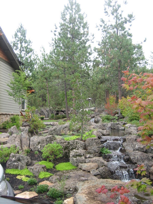 Imagen de jardín de secano actual con estanque