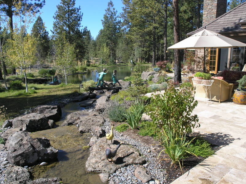 This is an example of a contemporary xeriscape garden in Other with a pond.
