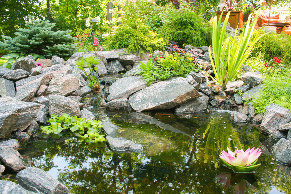 Mittelgroßer, Halbschattiger Klassischer Gartenteich im Sommer, hinter dem Haus mit Natursteinplatten in Toronto