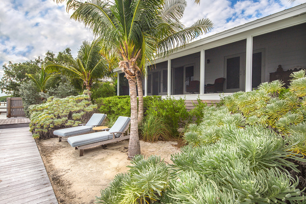 Immagine di un grande giardino tropicale esposto in pieno sole dietro casa con pedane