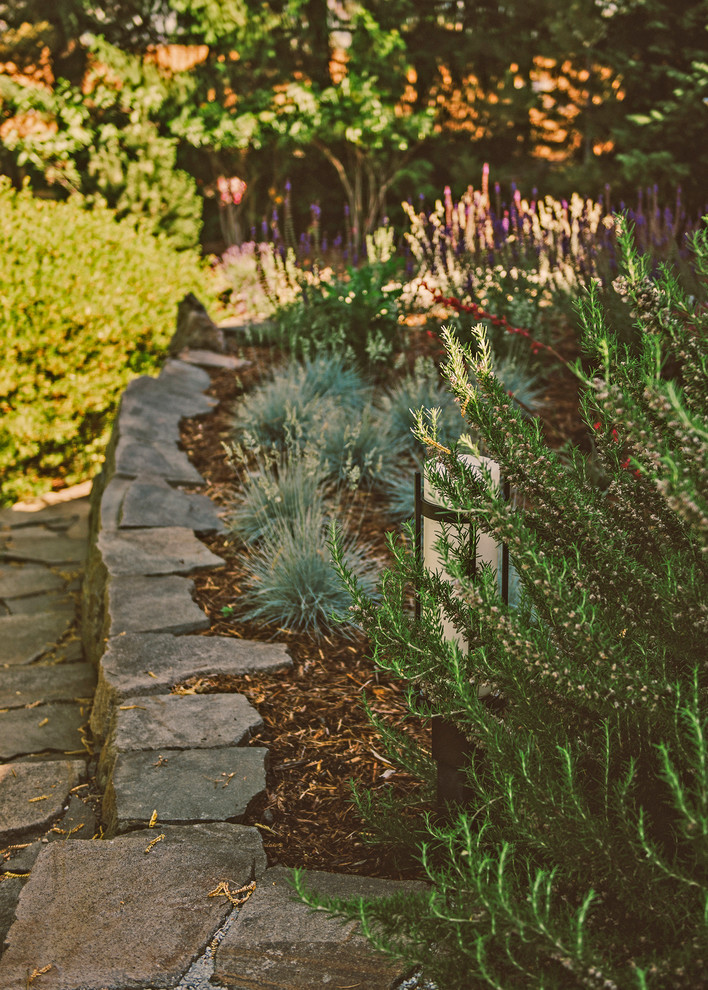 Esempio di un giardino xeriscape minimal esposto a mezz'ombra di medie dimensioni e davanti casa in estate con un ingresso o sentiero e pavimentazioni in pietra naturale