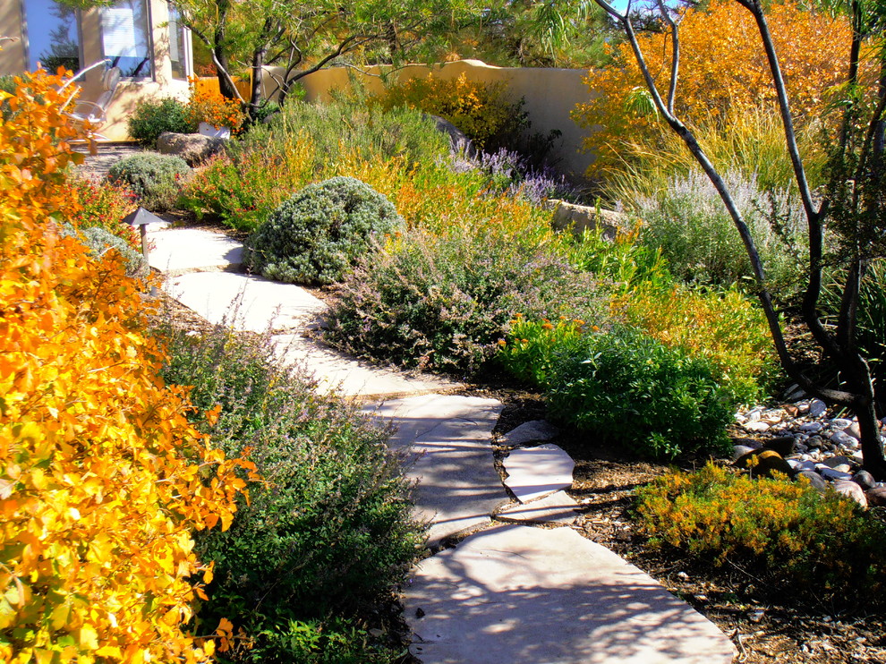 This is an example of a traditional landscaping in Albuquerque.