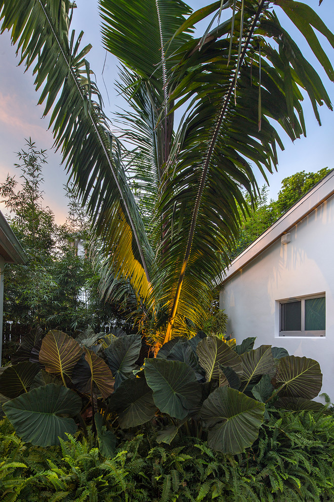 Idee per un piccolo giardino tropicale esposto in pieno sole dietro casa