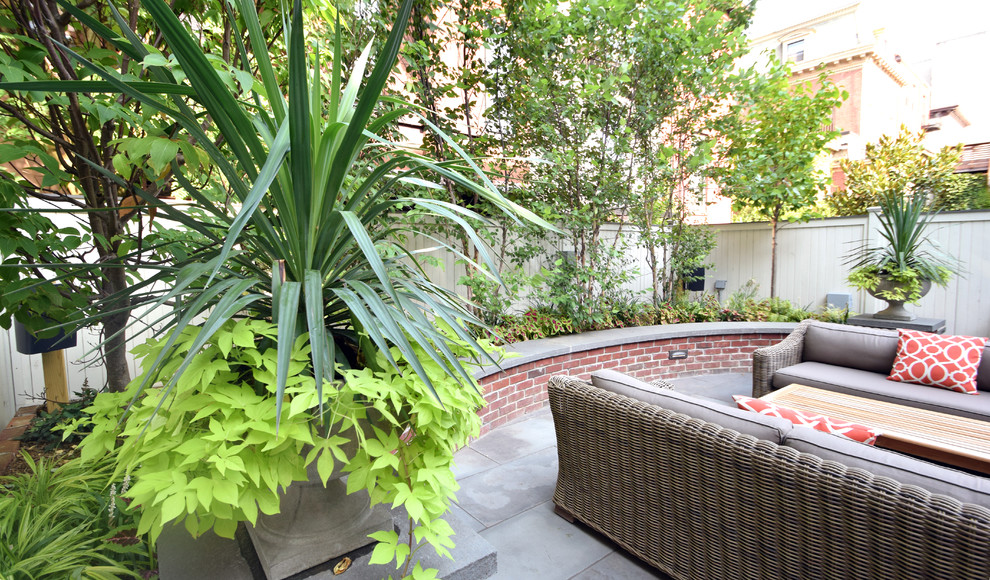 Идея дизайна: большой участок и сад на заднем дворе в стиле модернизм с растениями в контейнерах и мощением тротуарной плиткой