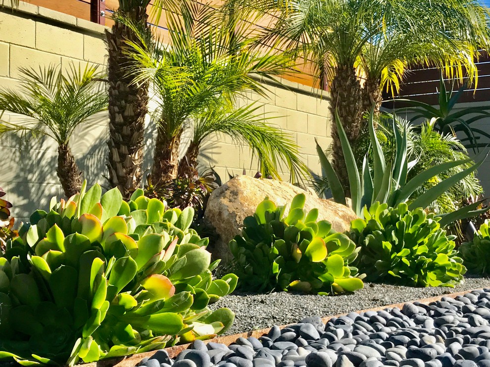 Esempio di un giardino xeriscape moderno esposto in pieno sole di medie dimensioni e dietro casa con pacciame