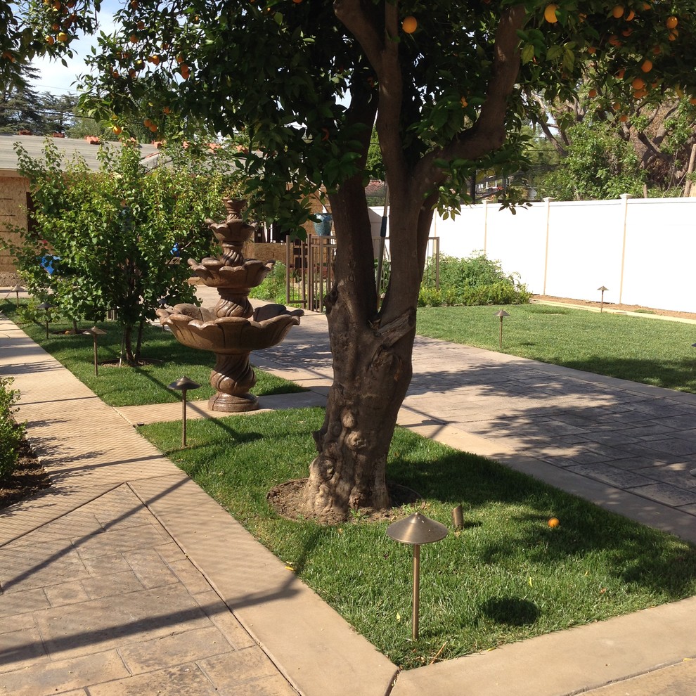 На фото: солнечный участок и сад среднего размера на заднем дворе в современном стиле с хорошей освещенностью с