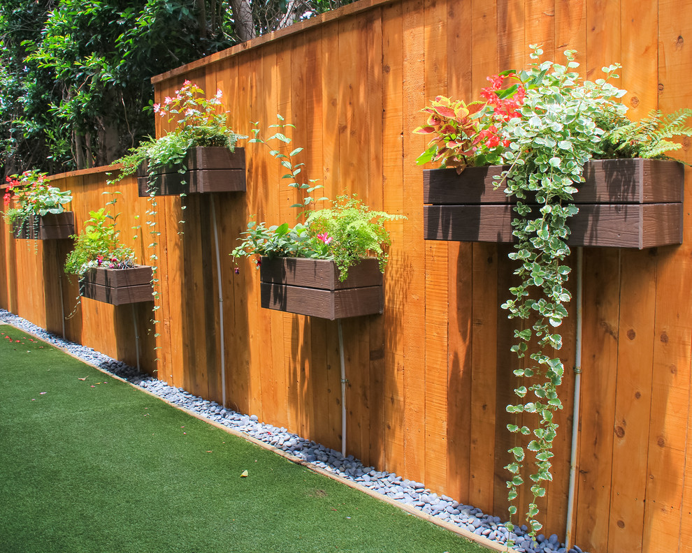 Kleine, Halbschattige Eklektische Pflanzenwand im Sommer, hinter dem Haus in Orange County