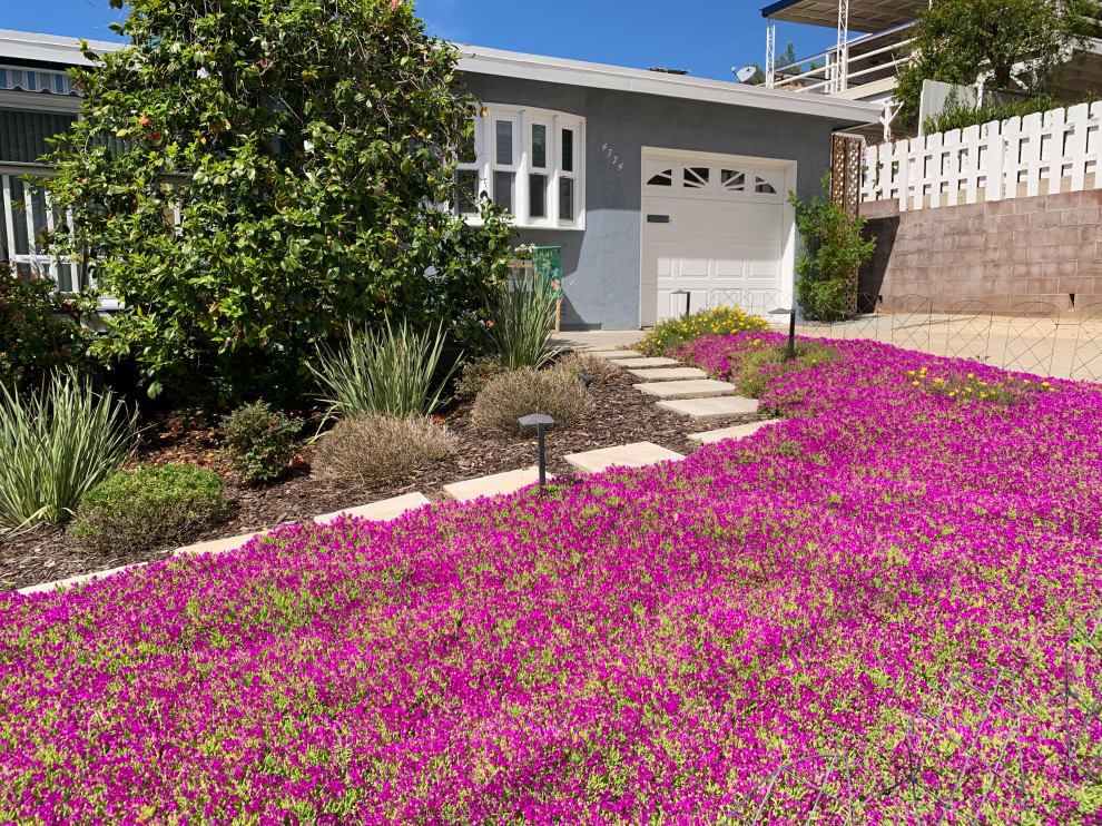 Kleiner Maritimer Vorgarten mit Gehweg und direkter Sonneneinstrahlung in San Diego