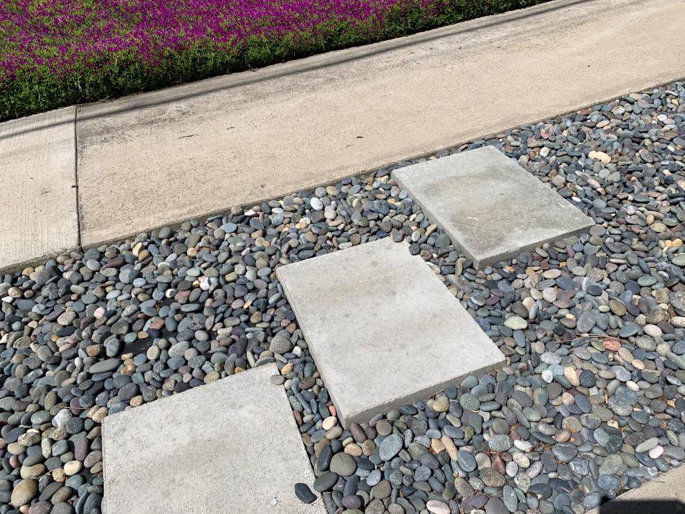 Kleiner Maritimer Vorgarten mit Steindeko und direkter Sonneneinstrahlung in San Diego