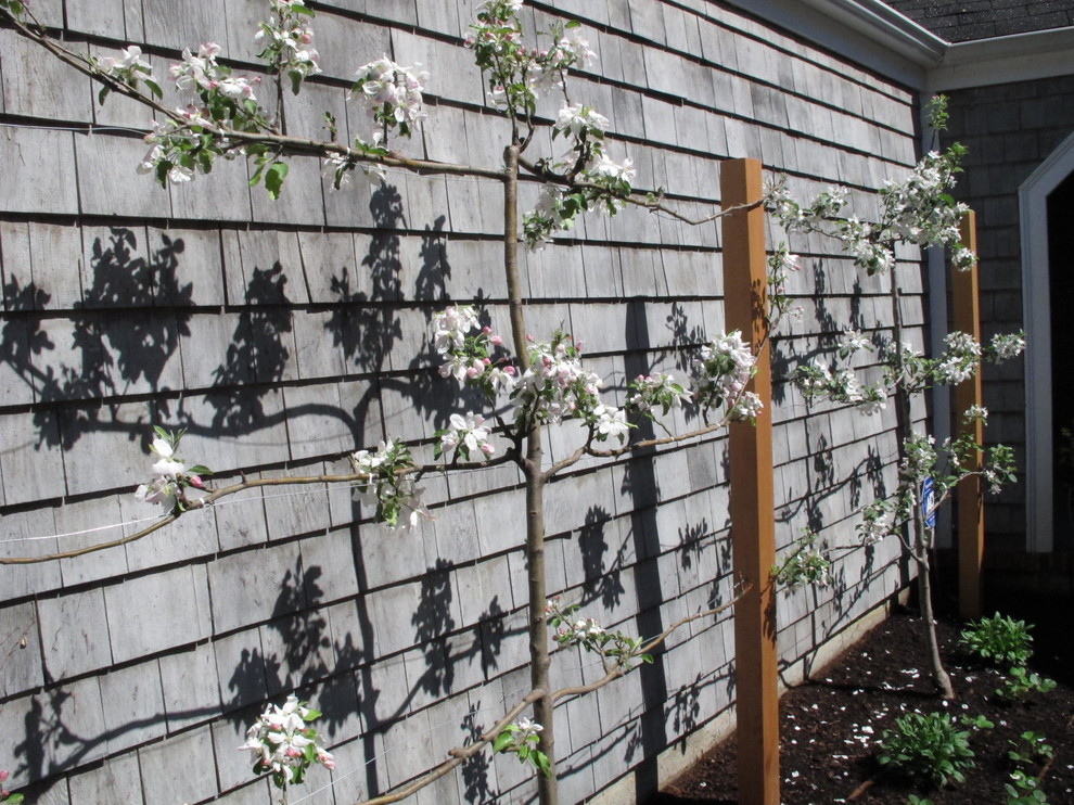 На фото: солнечный, весенний огород на участке на переднем дворе в классическом стиле с хорошей освещенностью с