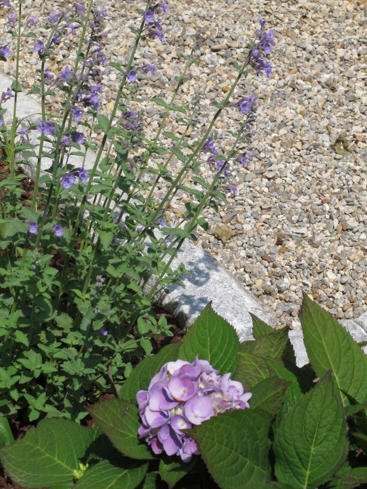 Inspiration for a traditional full sun front yard gravel landscaping in Boston for summer.