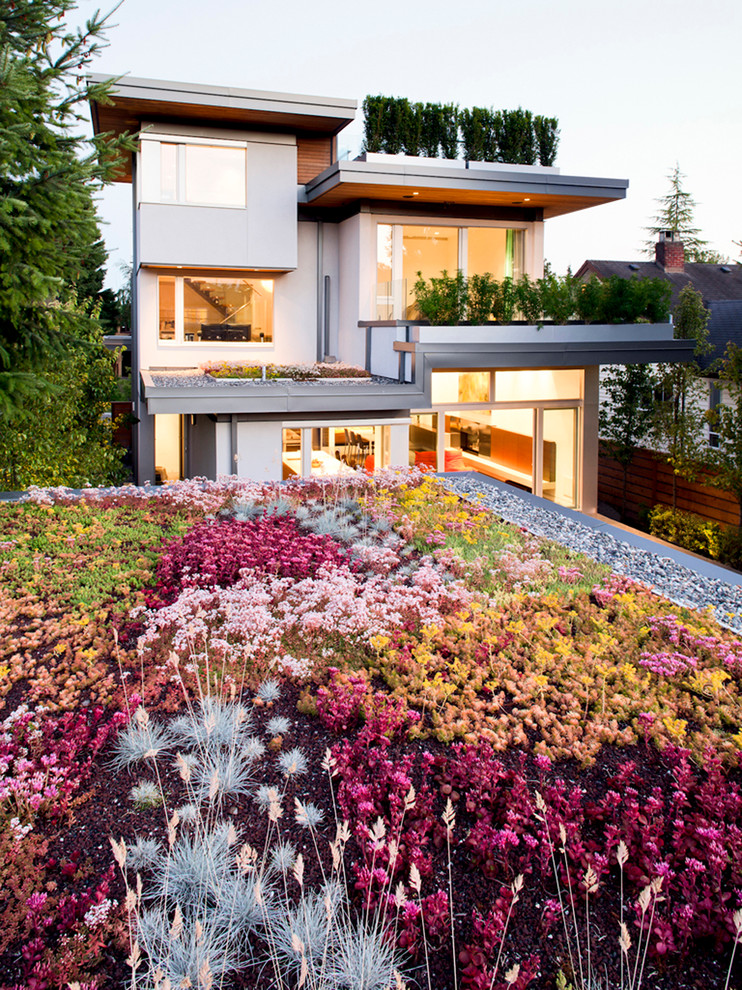 Aménagement d'un jardin sur toit contemporain au printemps avec une exposition ensoleillée.