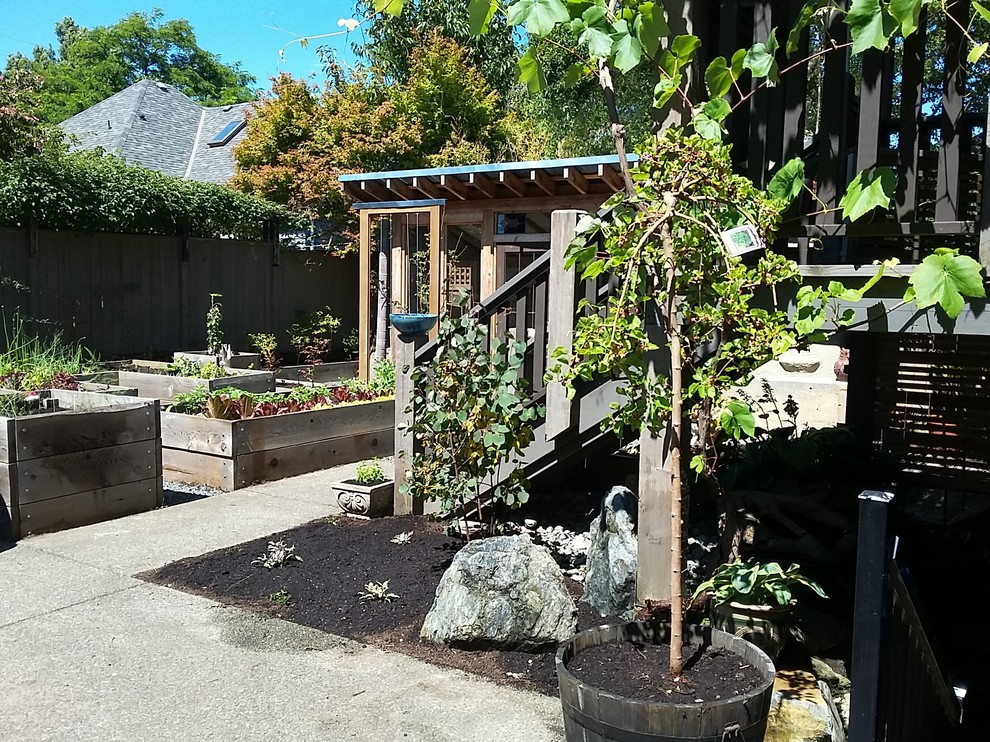 Kleiner Moderner Kiesgarten hinter dem Haus mit Kübelpflanzen und direkter Sonneneinstrahlung in Vancouver