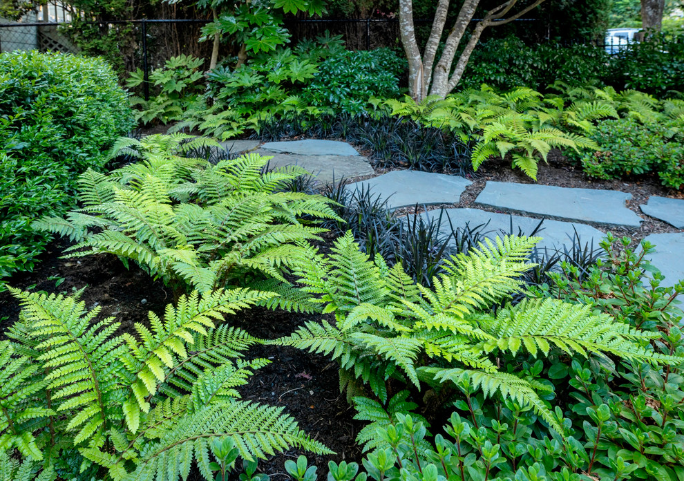 Inspiration for a traditional garden in Vancouver.