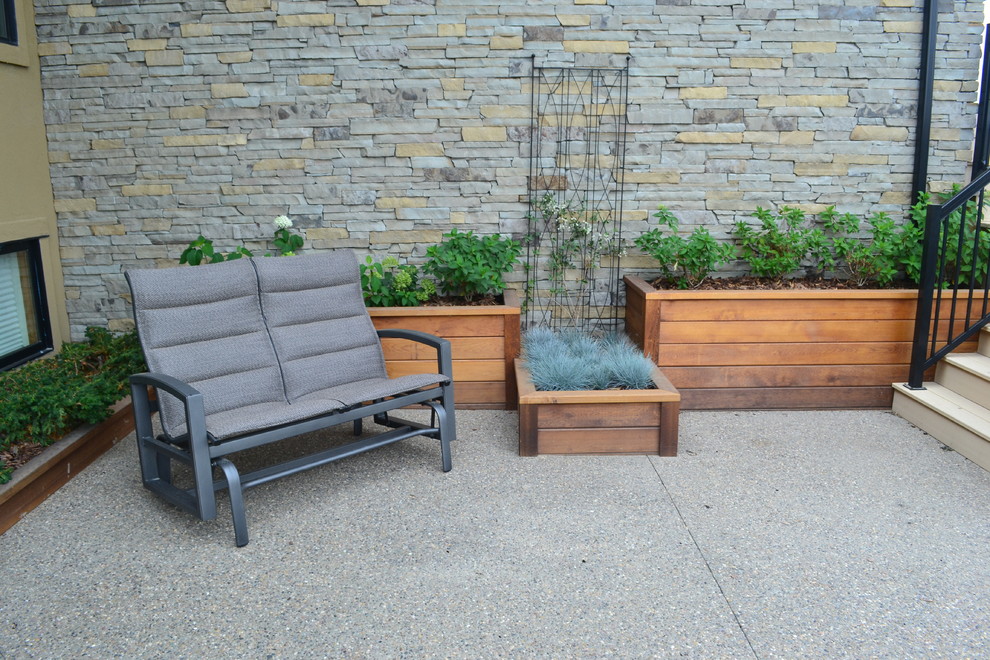 Photo of a medium sized contemporary back partial sun garden in Calgary.