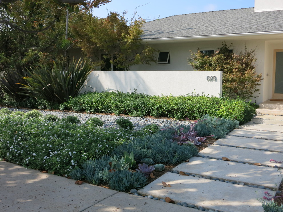 Immagine di un giardino xeriscape minimal esposto in pieno sole davanti casa con pavimentazioni in cemento
