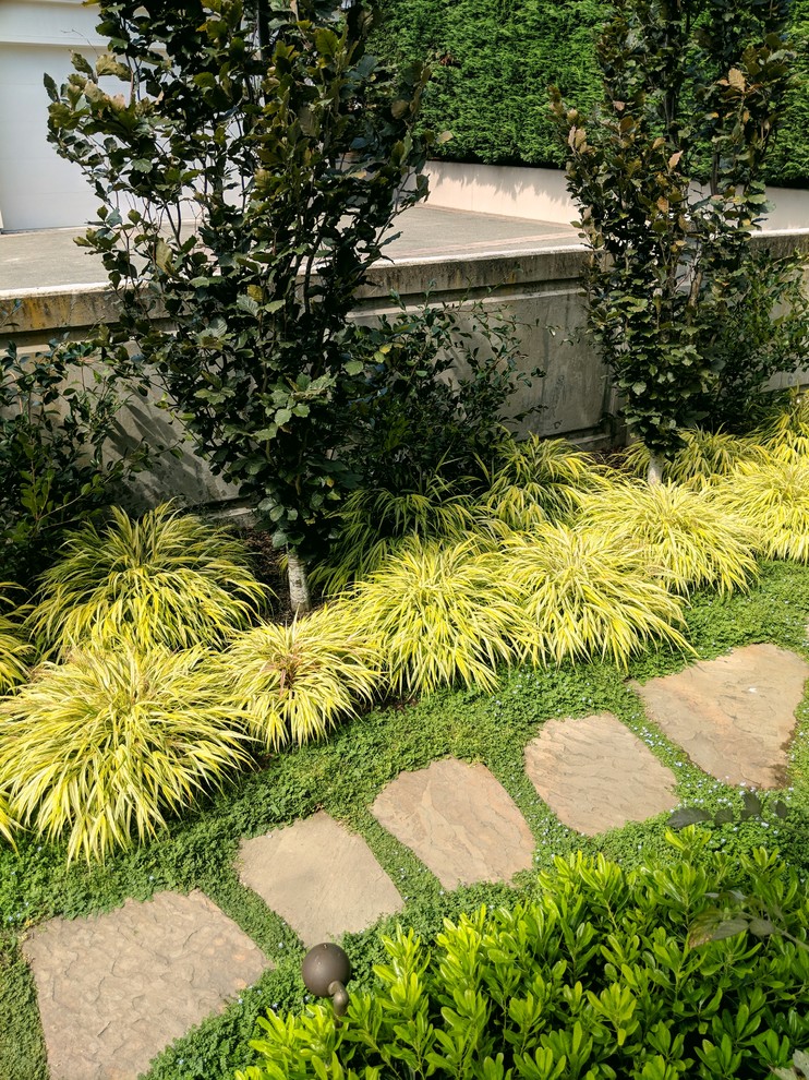 West Seattle Modern Living - Modern - Landscape - Seattle - by Orion ...