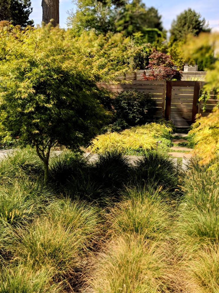 West Seattle Modern Living - Modern - Landscape - Seattle - by Orion ...