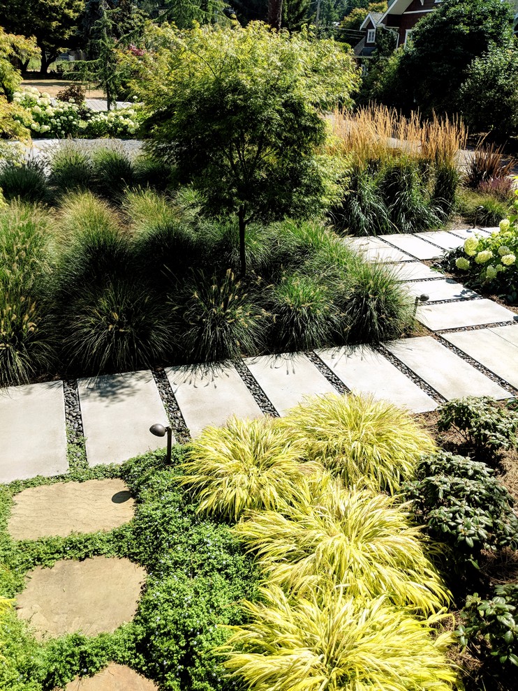 This is an example of a modern front full sun garden for summer in Seattle with concrete paving and a garden path.