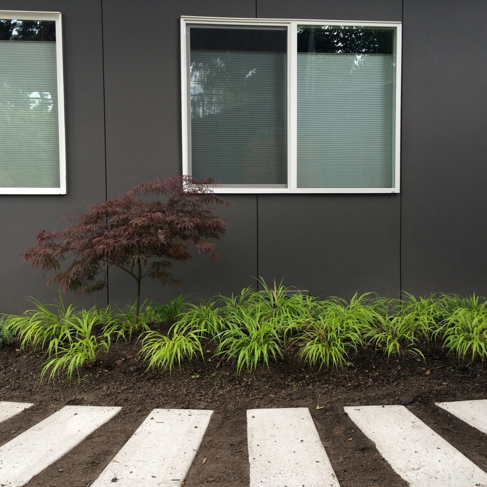 Esempio di un grande giardino minimalista in ombra nel cortile laterale in primavera con pavimentazioni in cemento