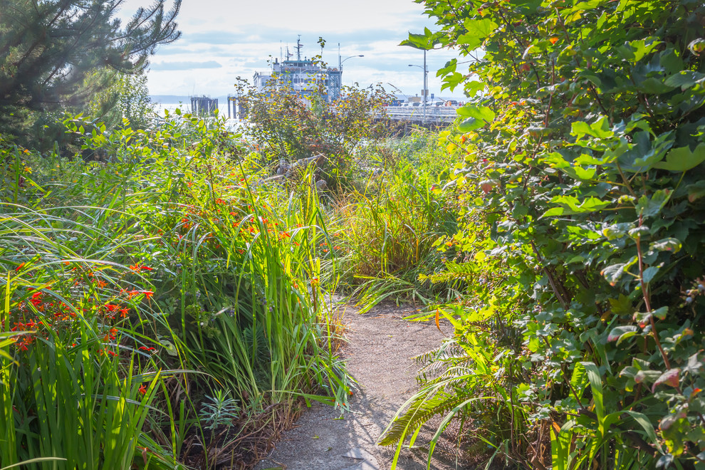 Design ideas for a coastal backyard gravel landscaping in Seattle.