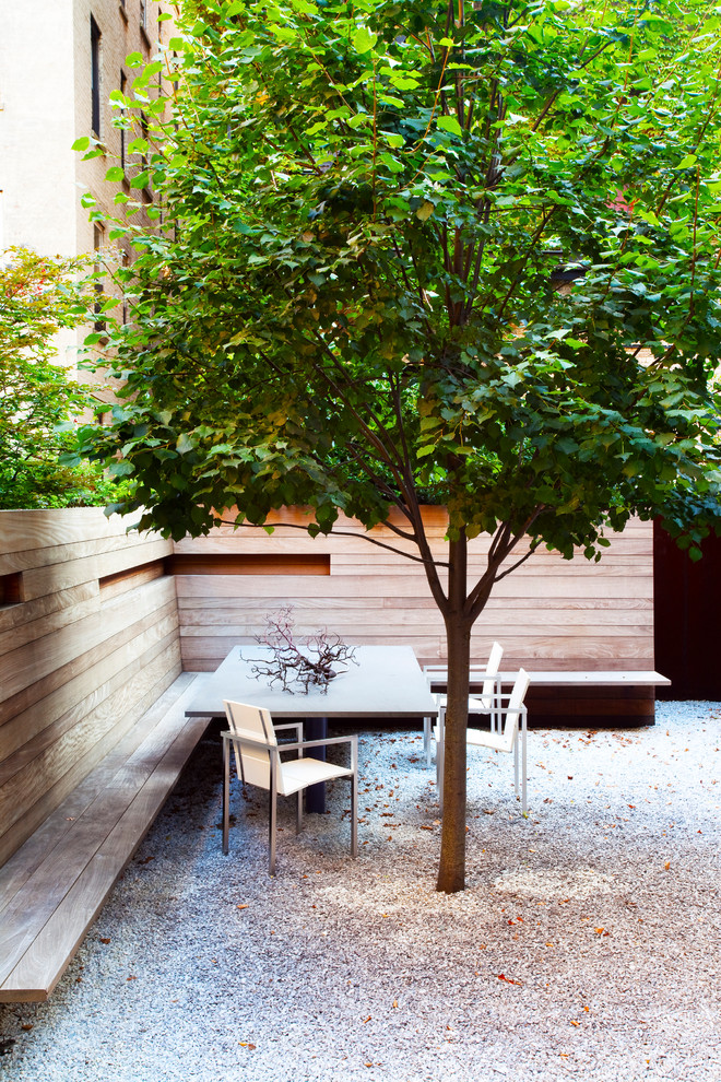 Kleiner, Halbschattiger Moderner Kiesgarten hinter dem Haus, im Sommer mit Kübelpflanzen in New York