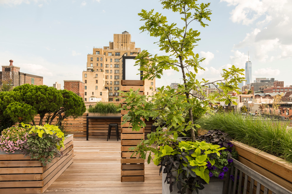 This is an example of a contemporary rooftop landscaping in New York.