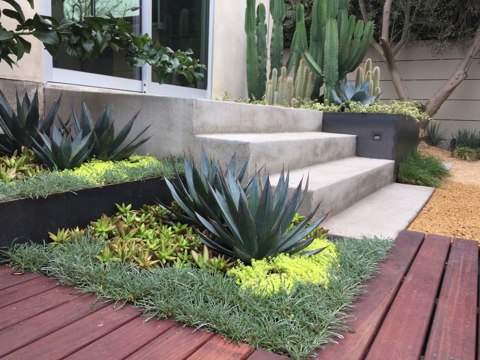 Medium sized modern back xeriscape garden in Los Angeles with a fire feature and decking.