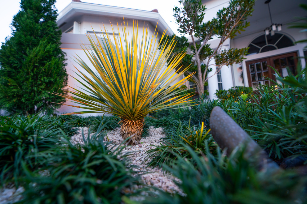 Immagine di un giardino xeriscape minimalista esposto in pieno sole di medie dimensioni e davanti casa con un ingresso o sentiero e pavimentazioni in pietra naturale