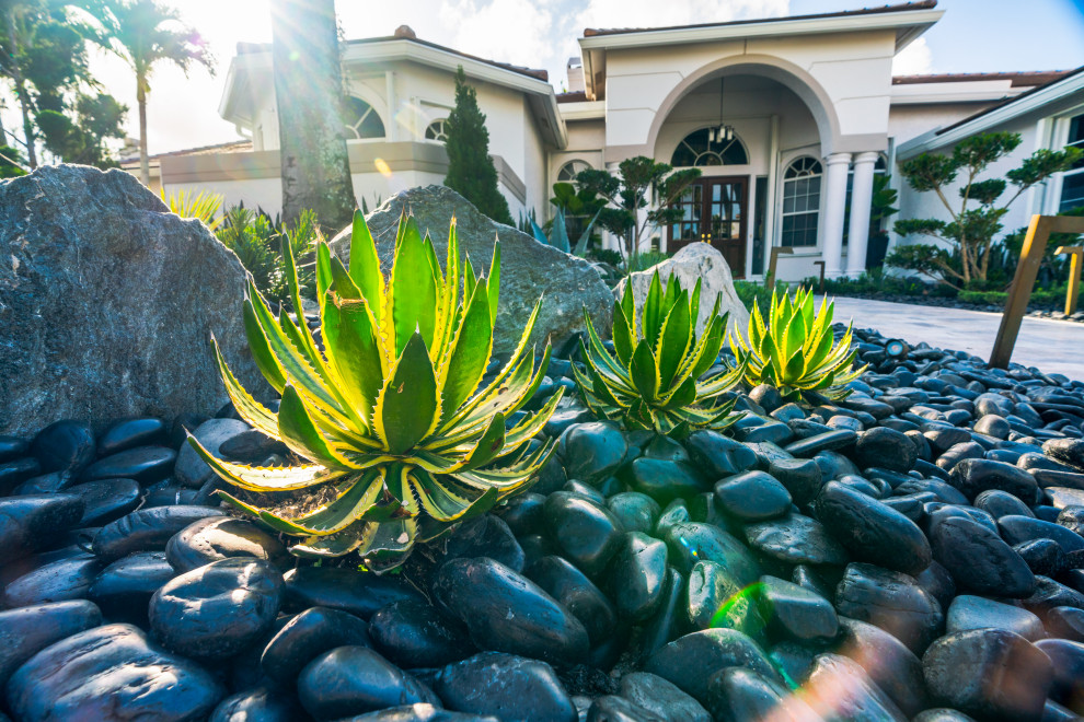 На фото: солнечный, летний регулярный сад среднего размера на переднем дворе в стиле модернизм с клумбами, хорошей освещенностью и мощением тротуарной плиткой