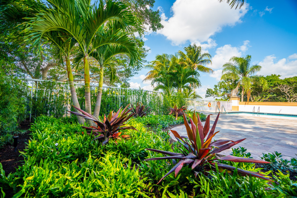 Ejemplo de jardín tropical grande en verano en patio trasero con privacidad, exposición total al sol y adoquines de hormigón