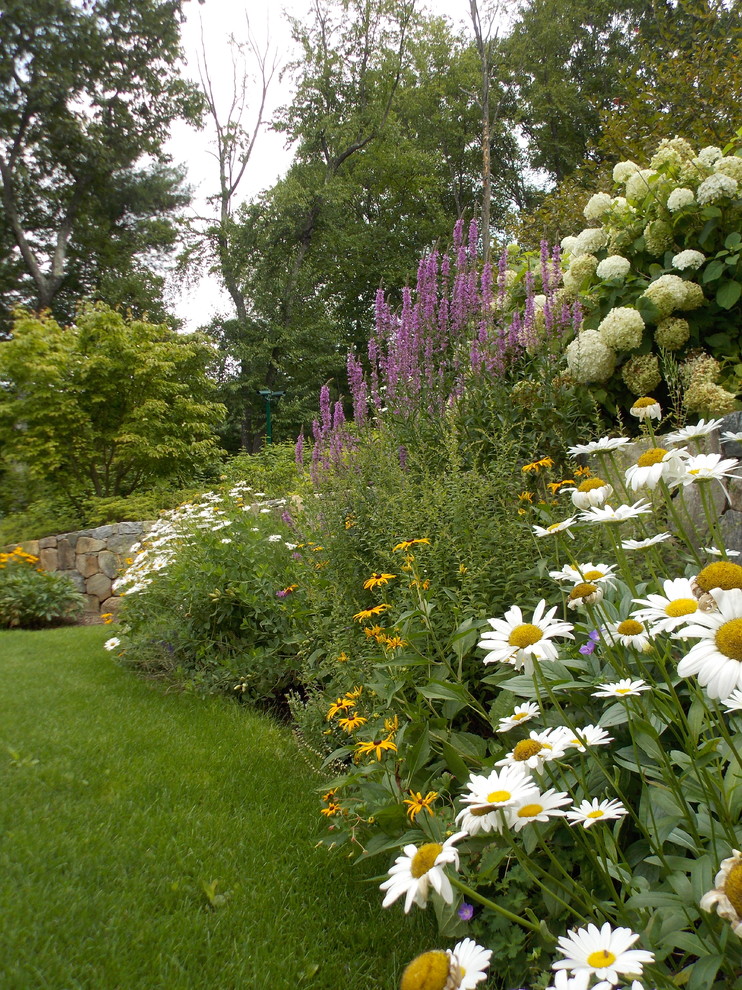 Immagine di un giardino chic esposto a mezz'ombra