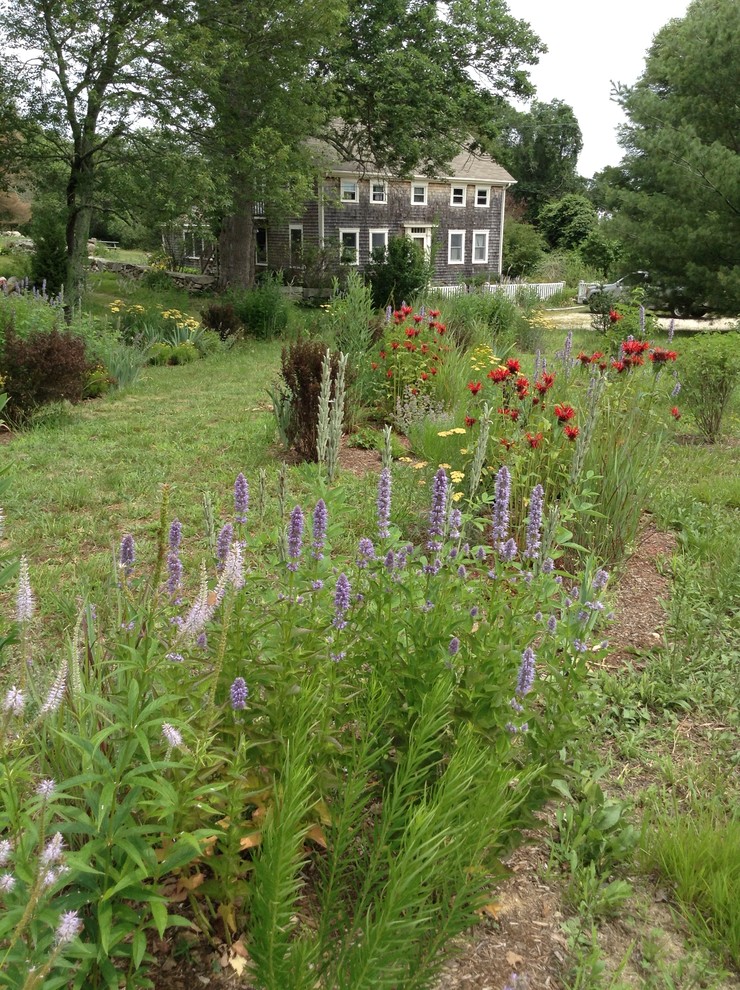 Idee per un giardino formale country esposto in pieno sole di medie dimensioni e davanti casa con un giardino in vaso e pacciame