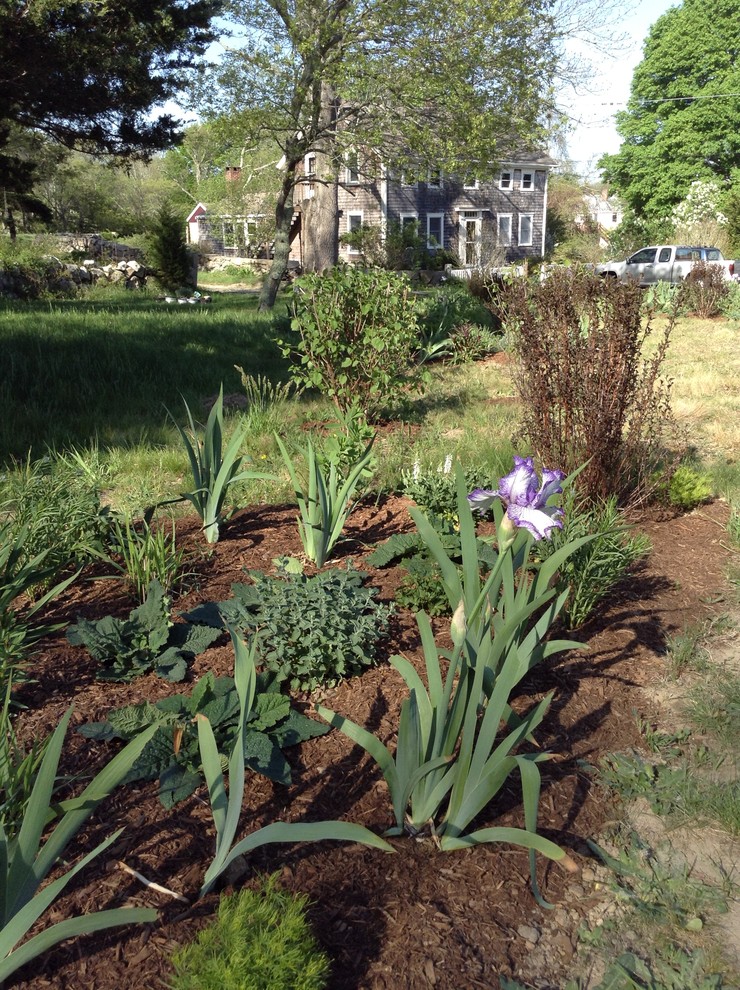 Inspiration pour un jardin avant rustique de taille moyenne avec une exposition ensoleillée et un paillis.