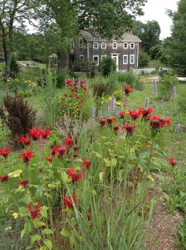 Foto di un giardino formale country esposto in pieno sole di medie dimensioni e davanti casa con un giardino in vaso e pacciame